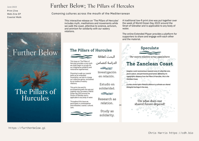 Design-Research — Zine & Walk for World Ocean Day
