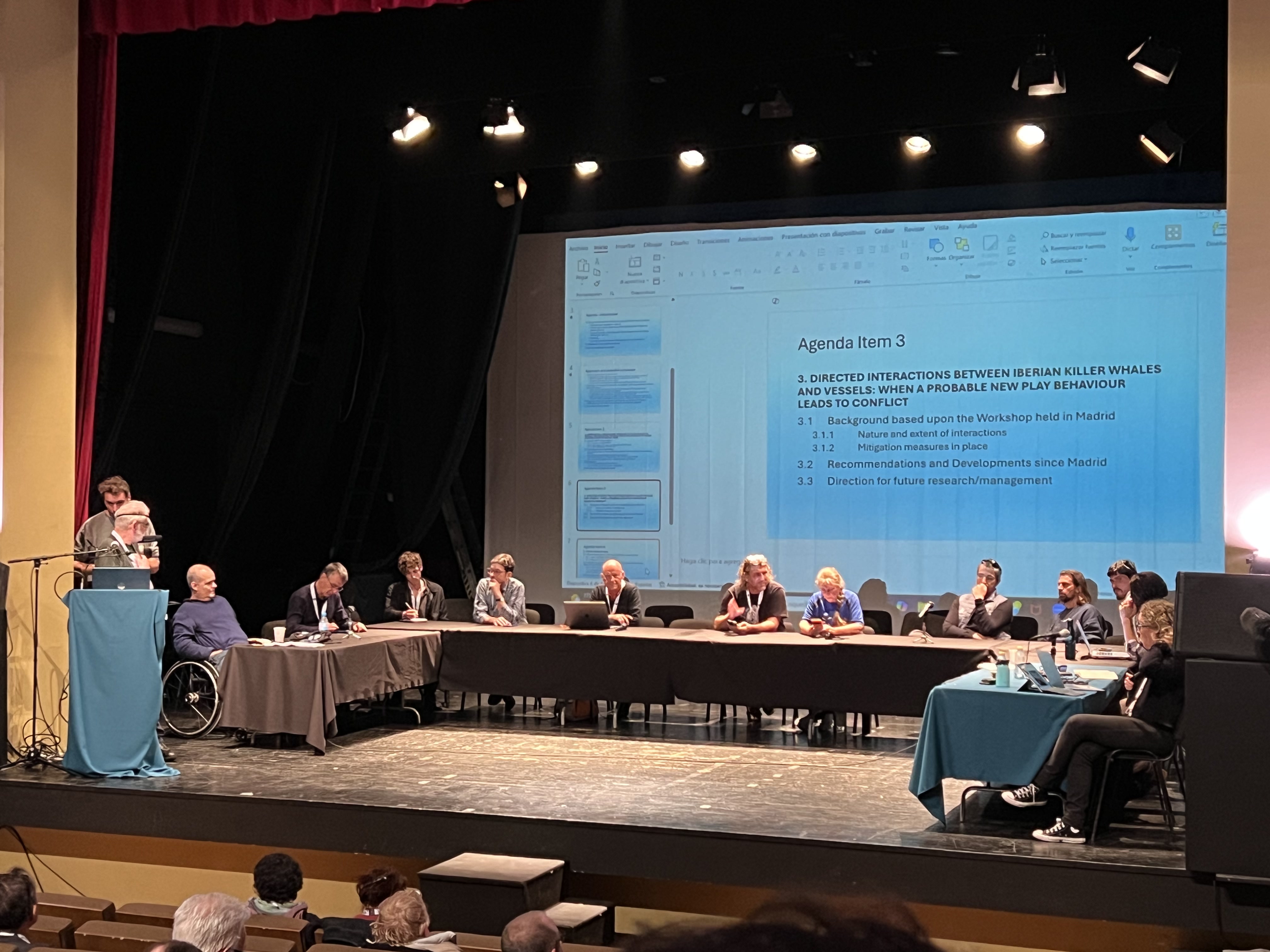 Chris Haris, corner left, speaking in Orca Panel Discussion, Tarifa, 2025